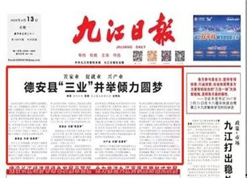 九江头条新闻爆料,独家爆料，揭秘重大事件背后真相！  第3张